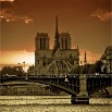 notre